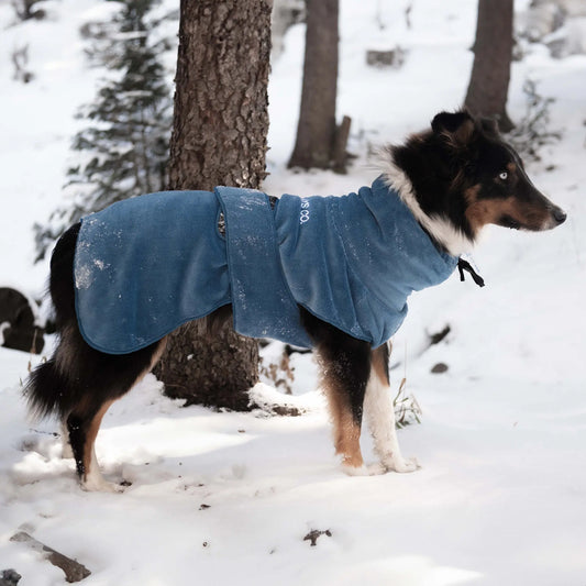 Hunde-Fleecejacke für kaltes Wetter mit verstellbaren Gurten, die Wärme und Komfort bei Erkundungen winterlicher Landschaften bietet.