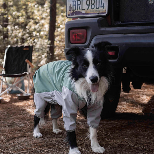 Hund im Havasu-Regenmantel auf einem Campingplatz mit Wohnmobil, der wasserdichte Outdoor-Ausrüstung für abenteuerlustige Hunde zeigt.