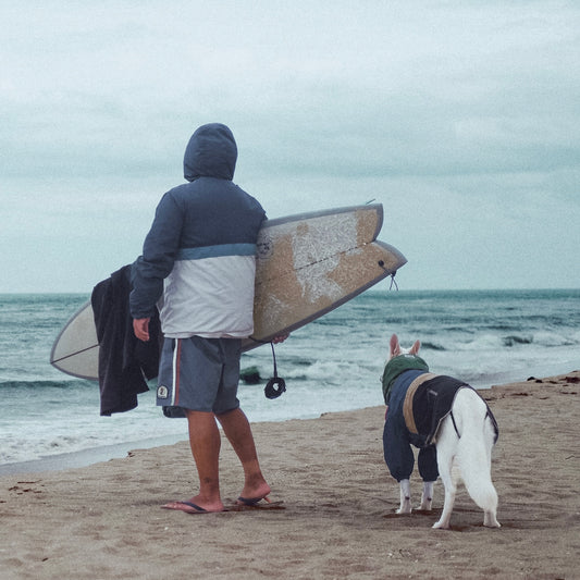 Baja Coastline Waterproof Dog Jacket MEZKUI
