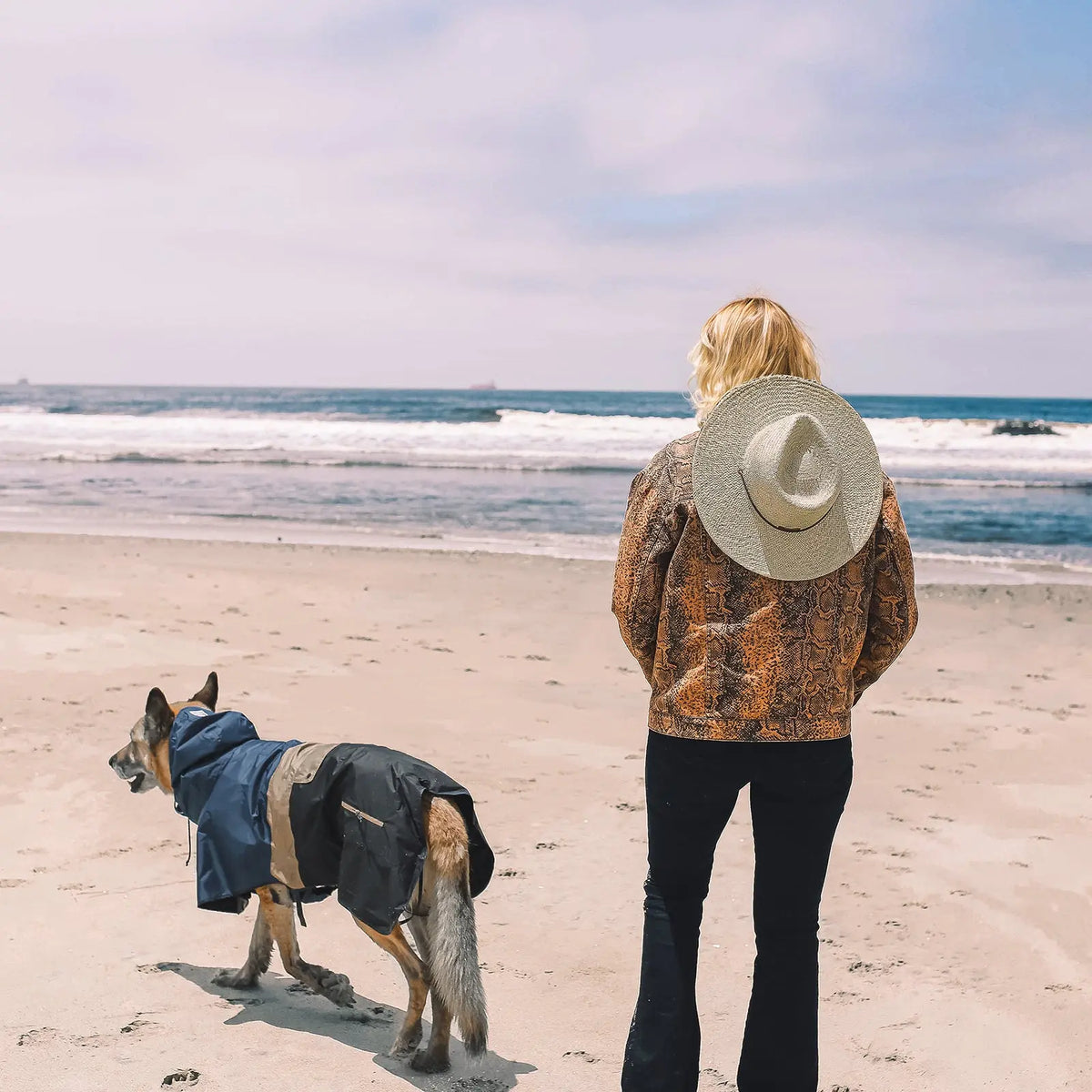 Ein Hund mit dem blau-hellbraunen Baja Coastline Dog Raincoat neben einer Person am Strand.