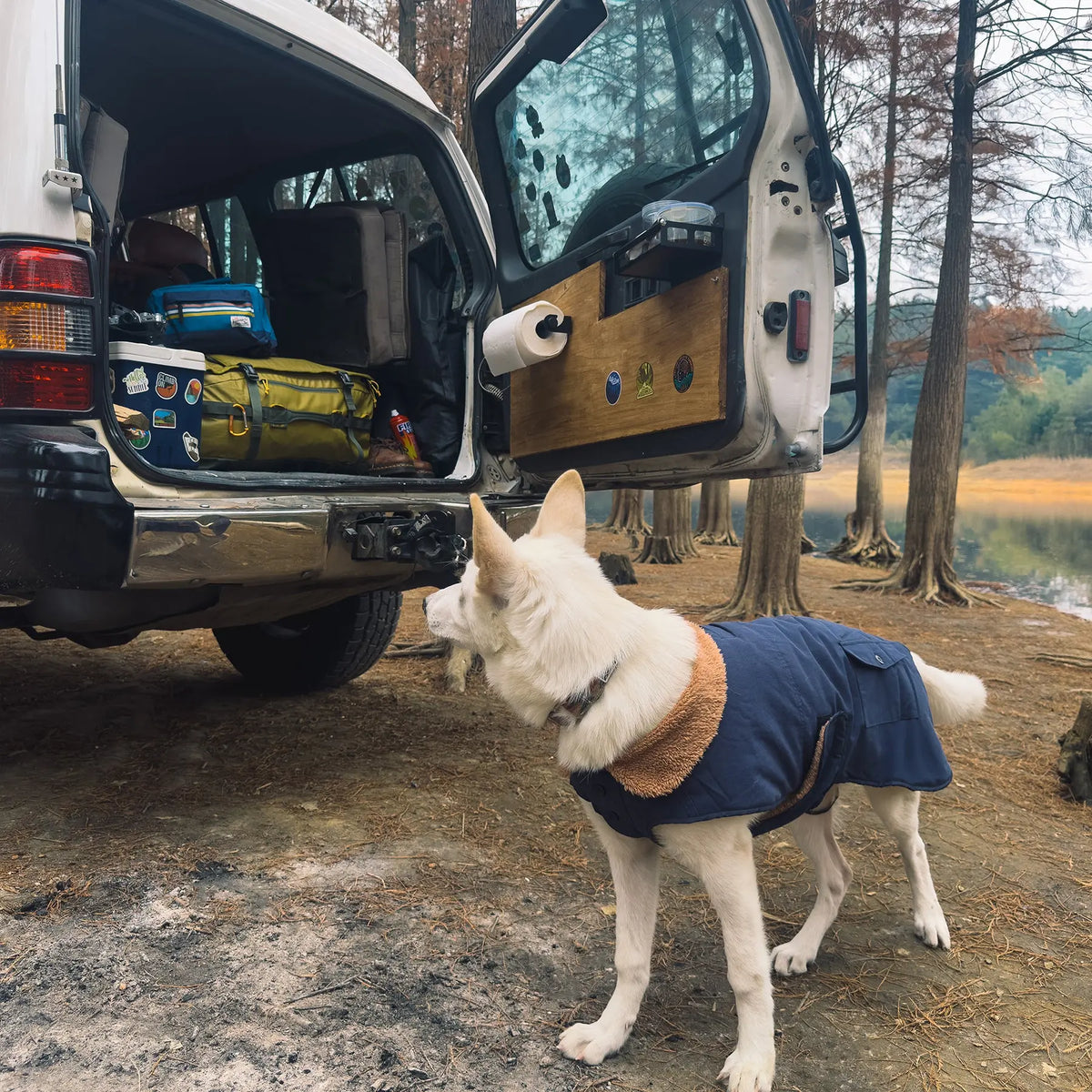 Ein weißer Hund mit der marineblauen Sedona Dawn Dog Winter Jacket neben einem geöffneten Fahrzeug auf einem Campingplatz.