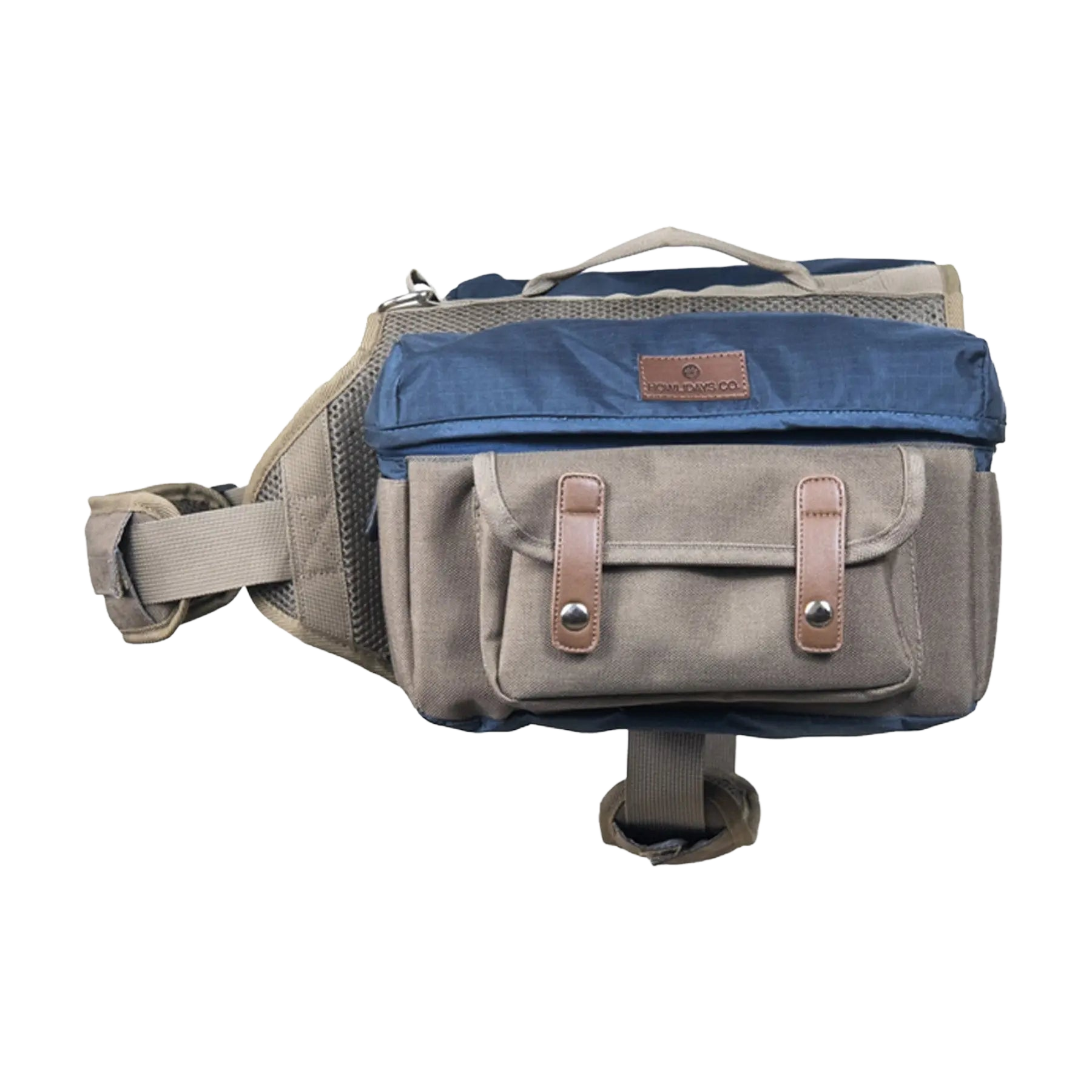 Vorderansicht des Cactus Creek Hunderucksacks mit Stil und praktischen Taschen.